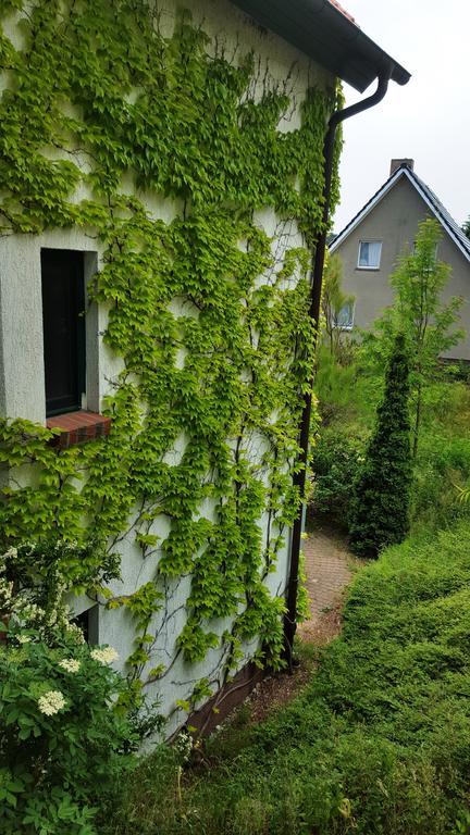 Haus Seefeld Иккериц Экстерьер фото